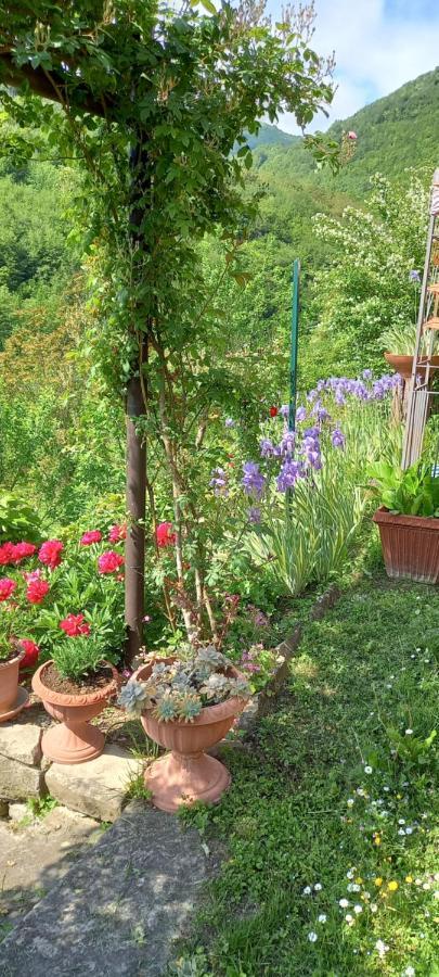 Bed and Breakfast Ca D' Fefi Gorzegno Экстерьер фото