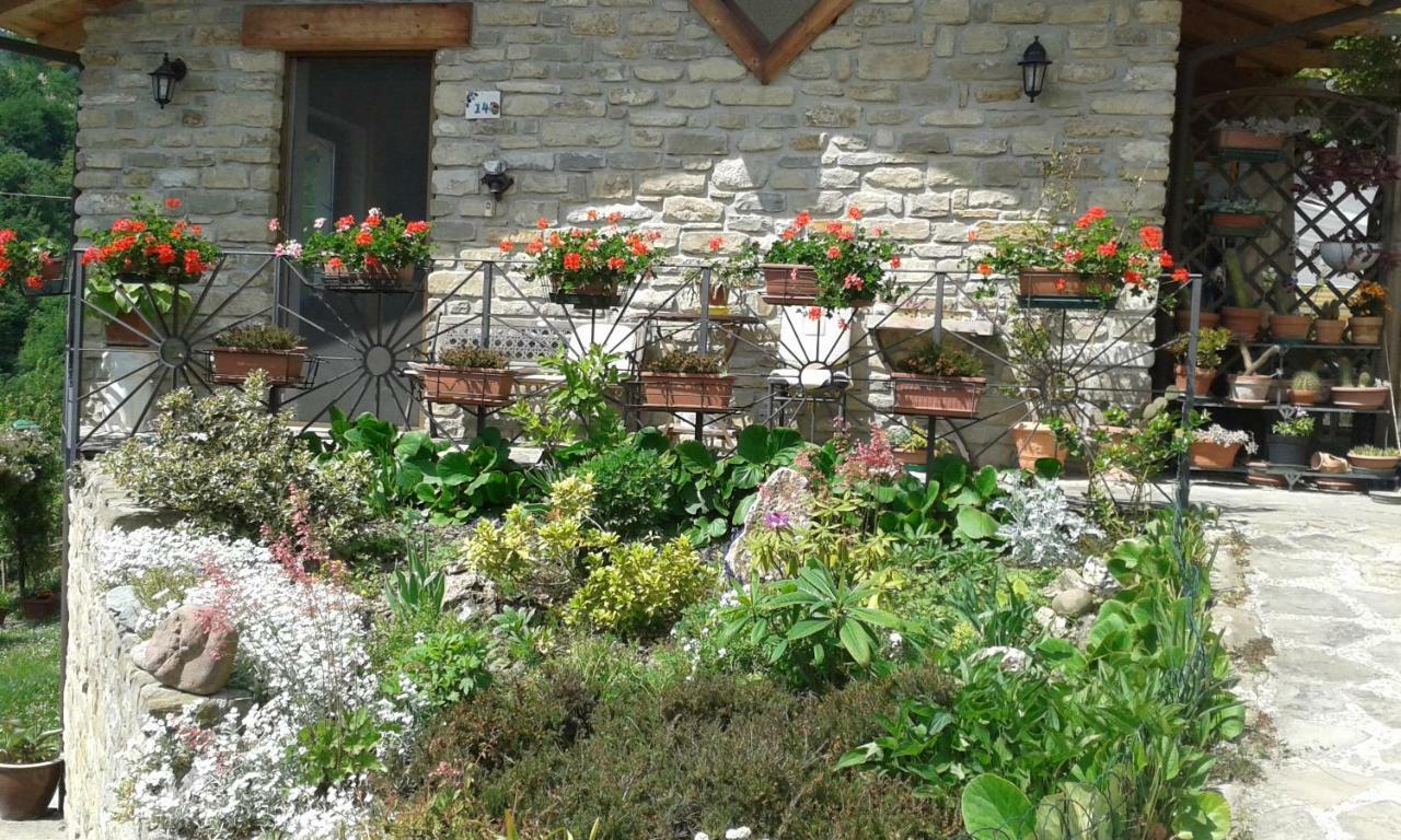Bed and Breakfast Ca D' Fefi Gorzegno Экстерьер фото